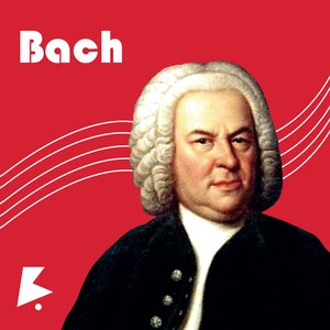 91抖音在线网页
